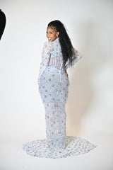 Elegant Silver ballroom gown