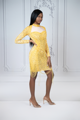 Long sleeve mini dress